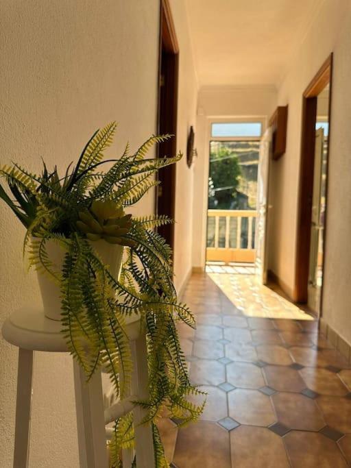 Holiday home Casa De Sergude